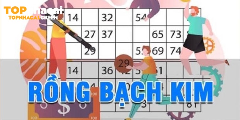 lô đề rồng bạch kim kinh nghiệm