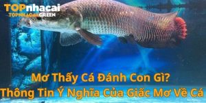 mơ thấy cá đánh con gì